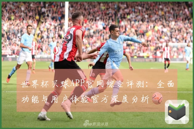 世界杯买球APP官网综合评测：全面功能与用户体验官方深度分析