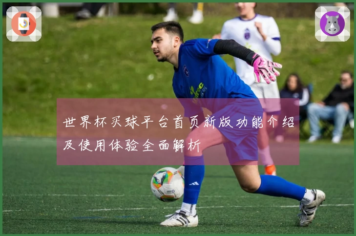 世界杯买球平台首页新版功能介绍及使用体验全面解析