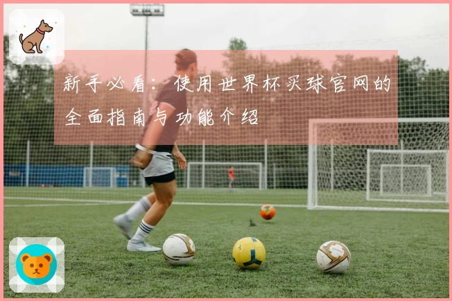 新手必看：使用世界杯买球官网的全面指南与功能介绍