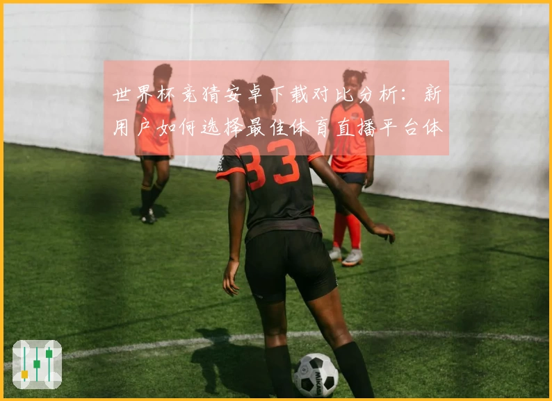 世界杯竞猜安卓下载对比分析：新用户如何选择最佳体育直播平台体验