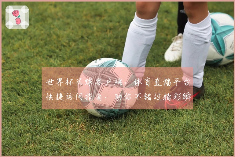 世界杯买球客户端，体育直播平台快捷访问指南，助你不错过精彩瞬间